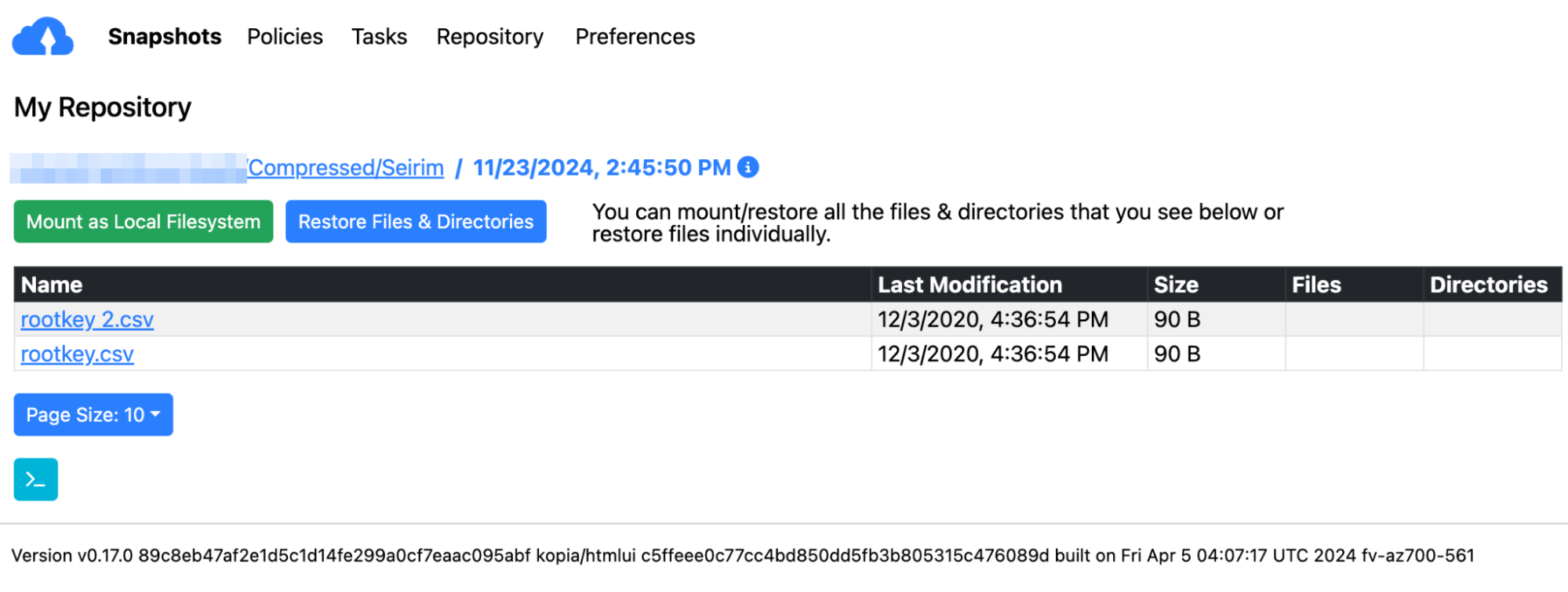 Viewing Snapshots in Repository as Fallback Copies