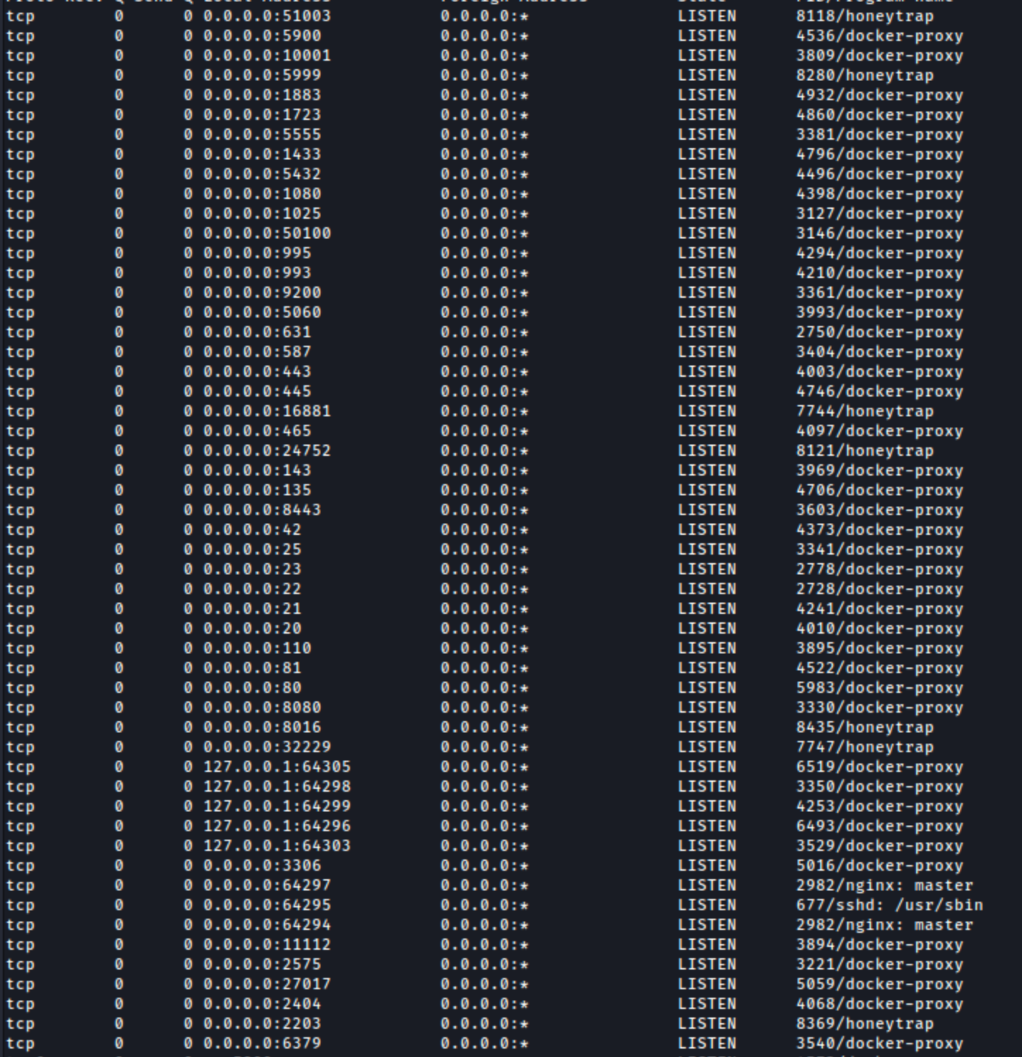 A running docker instance on port 8443 poses as a CISCO VPN login