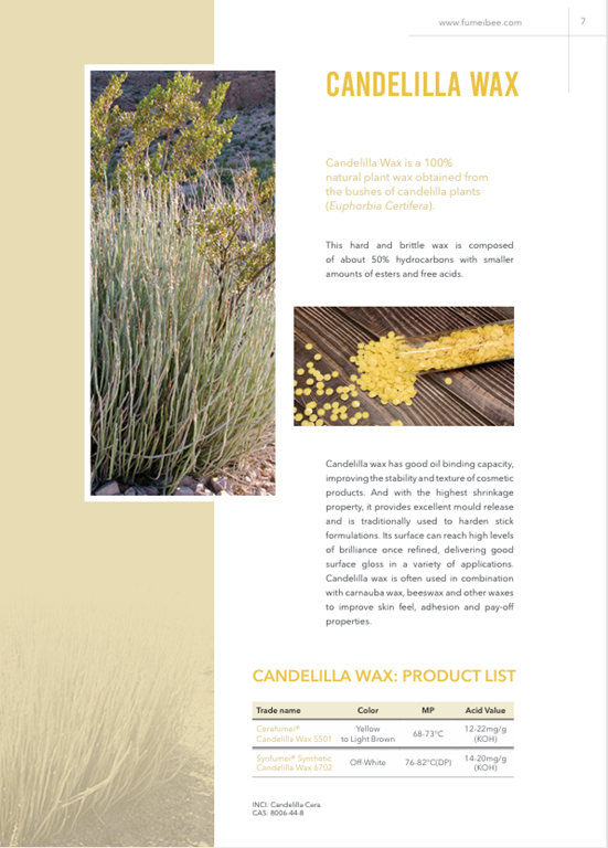 Fumei Personal Care brochure result 7